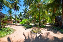 Sri-Lanka, Kalpitiya, KSL accommodation,kitesurf holiday accommodation-garden